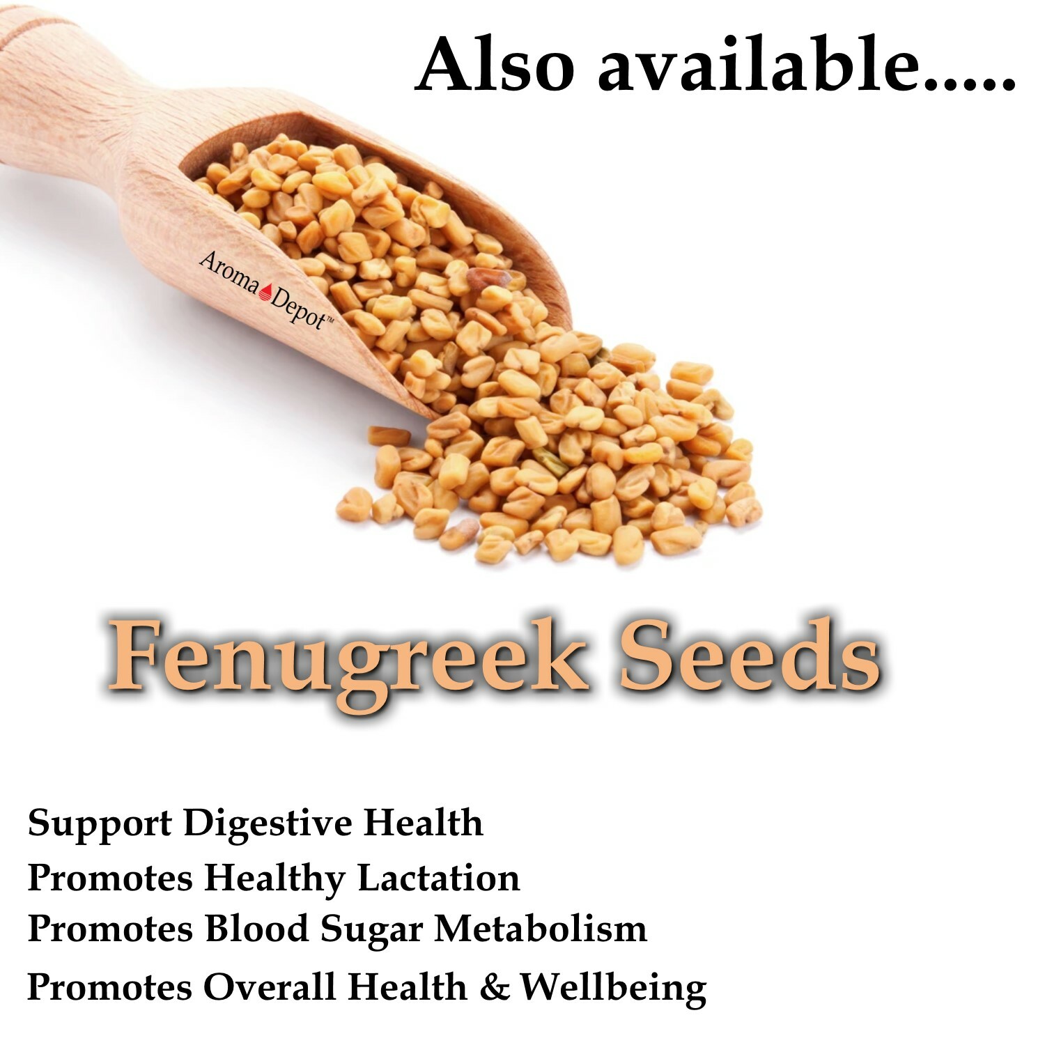 2.5lb Fenugreek Seed Powder Trigonella foenum-graecum Methi Polvo fenogreco JAR