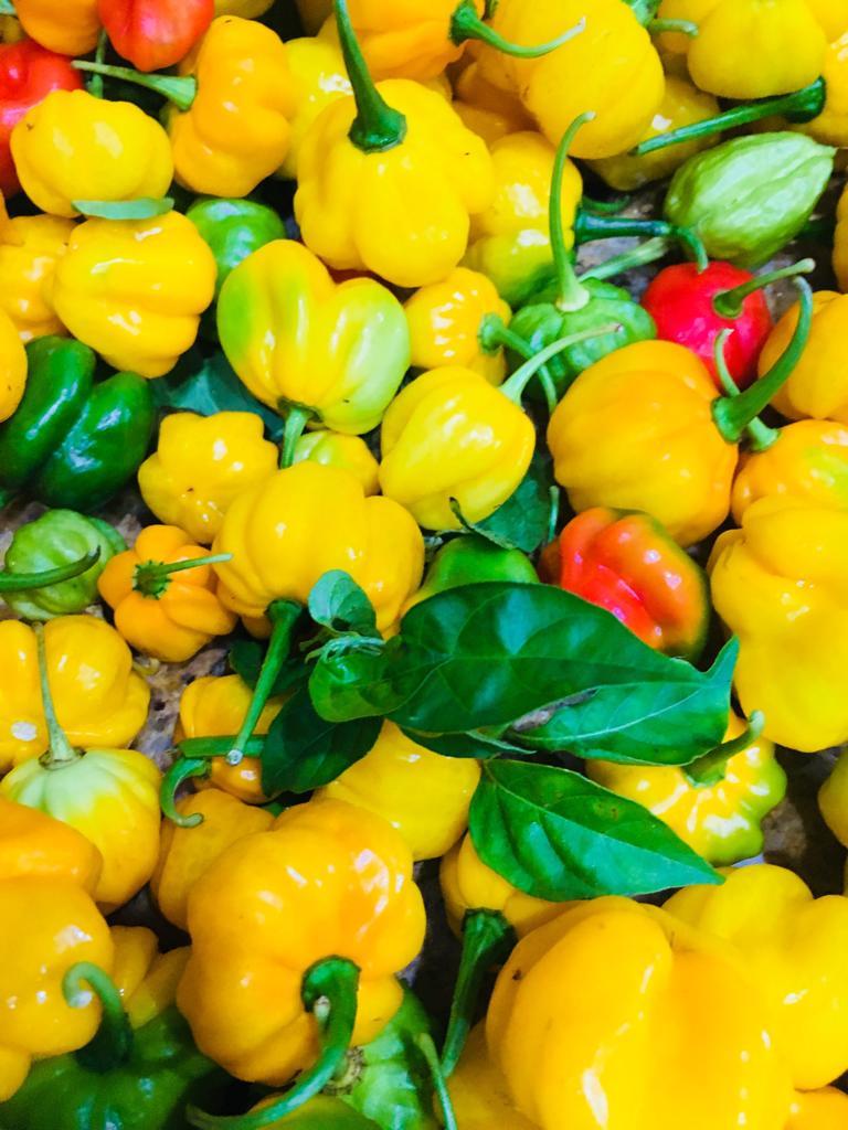 Carolina Reaper, Ghost, Scotch Bonnet, Habanero Peppers Organic Flakes VERY HOT!