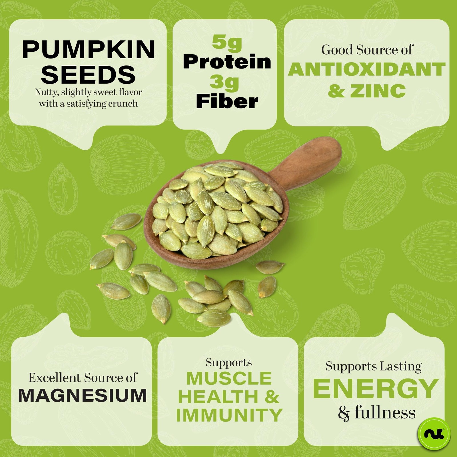 – Raw Pumpkin Seeds Pepitas, Unsalted, Shelled, (8oz – 1 Pack) Bulk Nuts Pack…