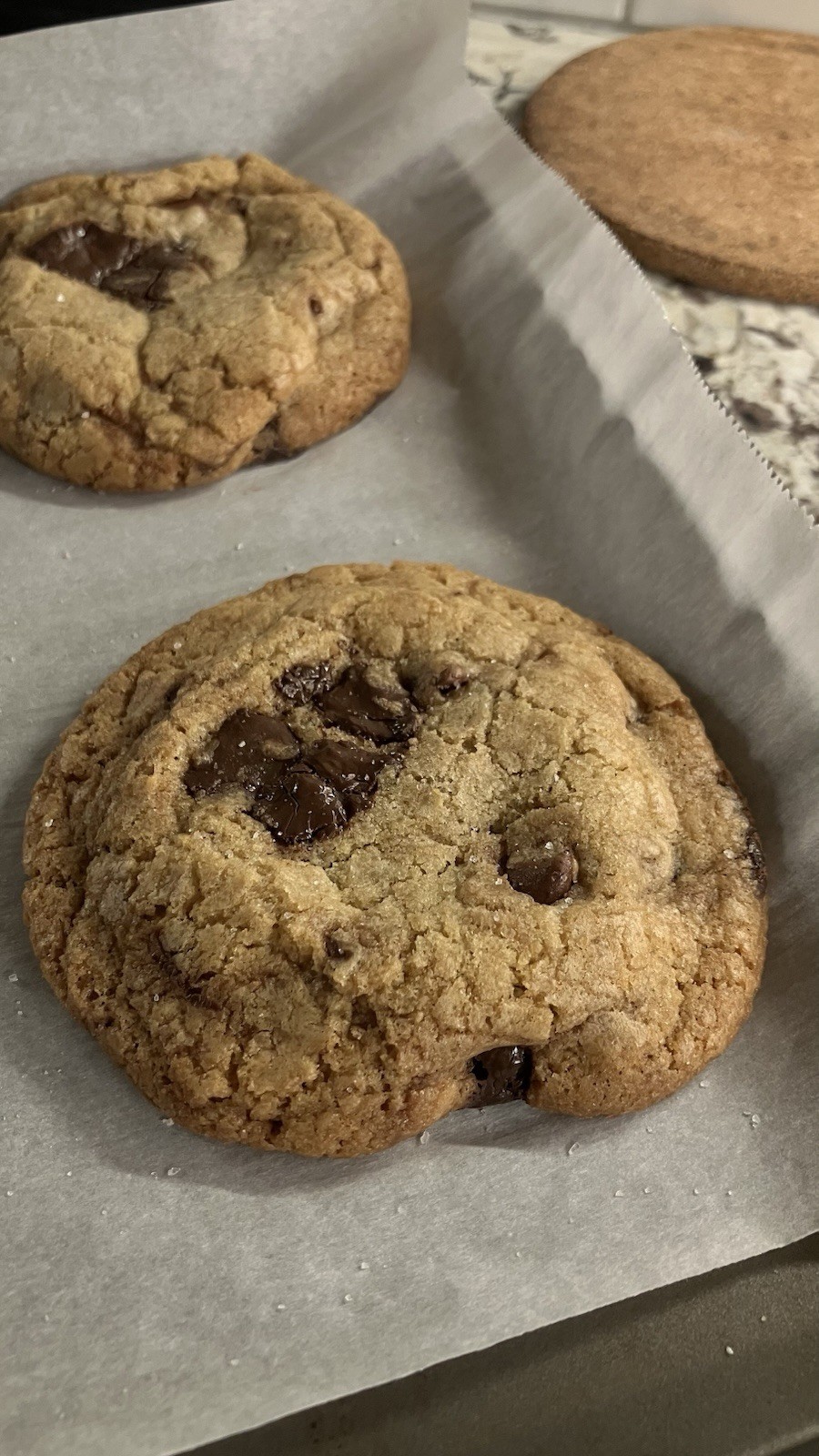 Homemade Chocolate Chip Cookies Fresh Two Dozen (24 Count) Free Shipping