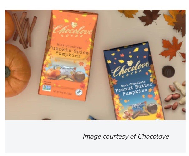 9 CHOCOLOVE Pumpkin Spice Milk Chocolate Bites 7.05oz