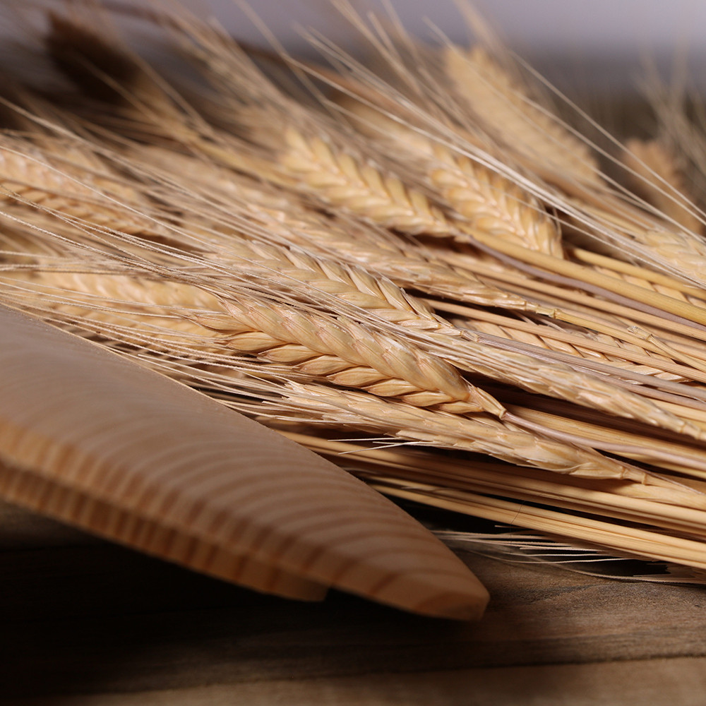 Organic Einkorn Wheat Berries – 10lbs