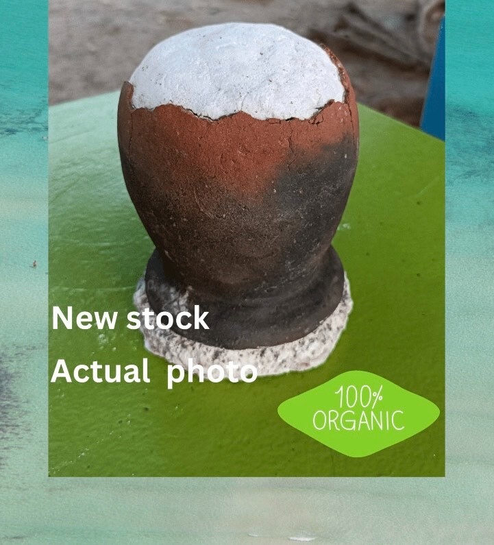 1 Unit Asin Tibuok Dino Egg Artisanal Coconut Sea Salt Bohol Philippines – DHL
