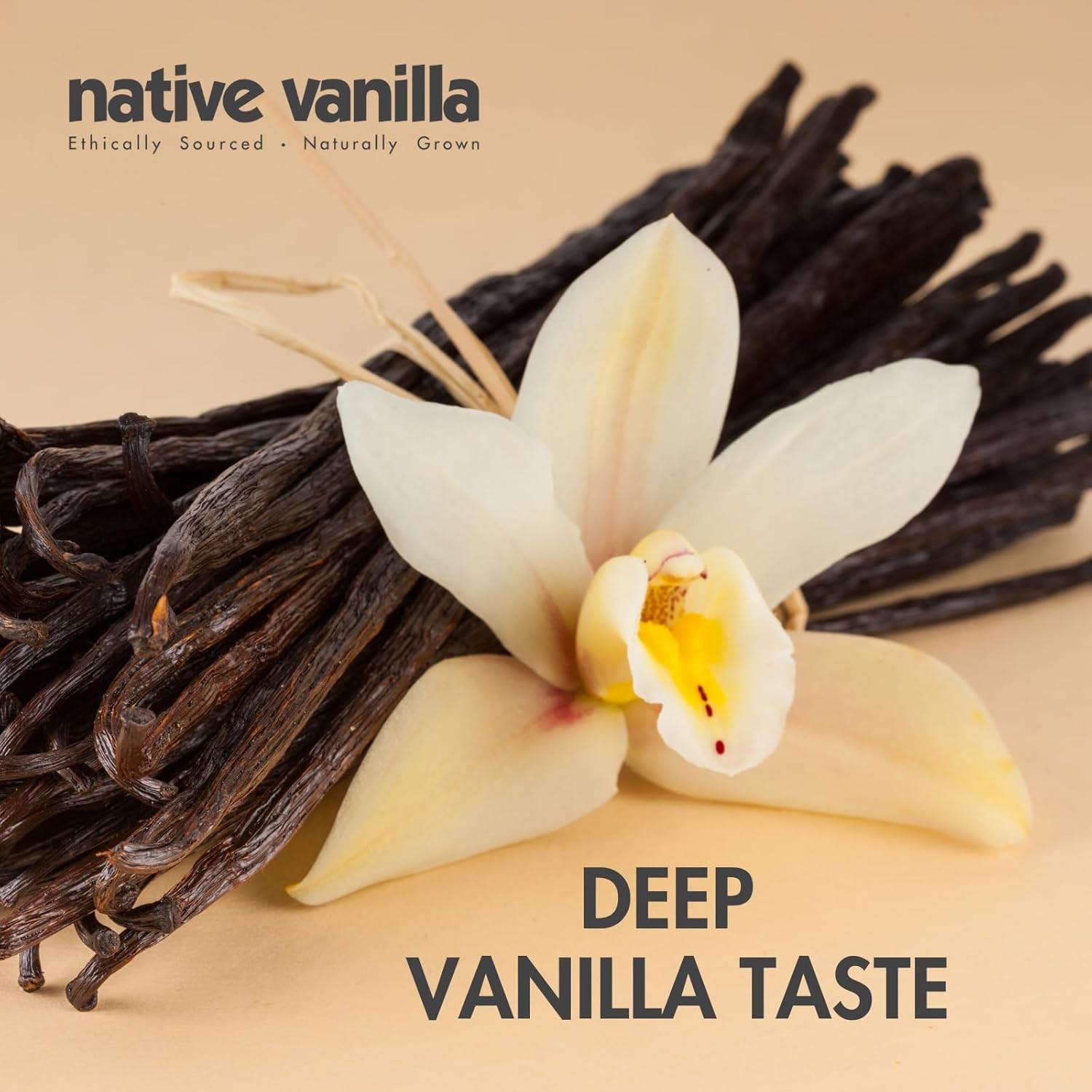 Vanilla Bean Paste – Native – All Natural Pure 4 Fl Oz (Pack of 1)