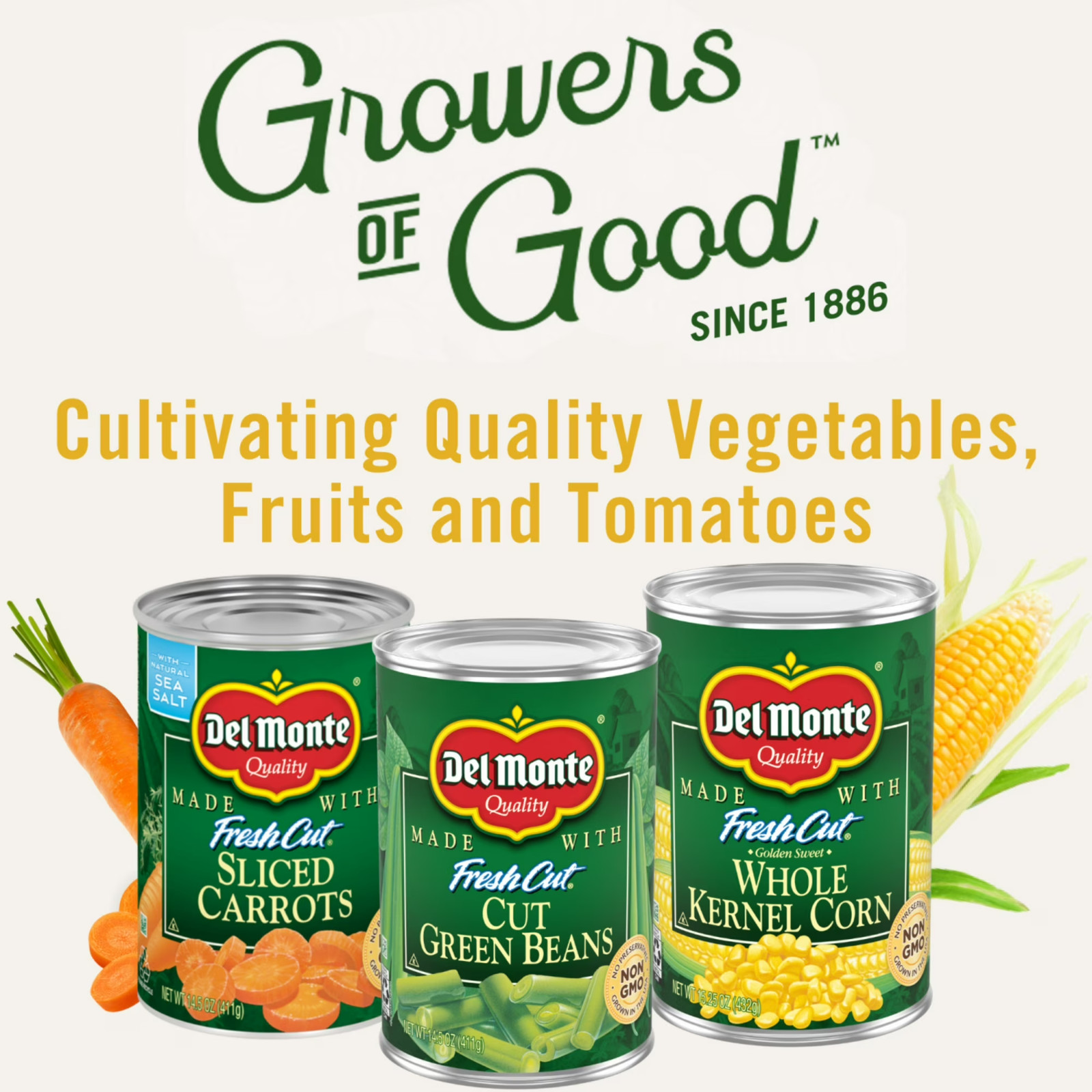 French Style Green Beans Canned Vegetables 14.5 oz Can Pack of 4