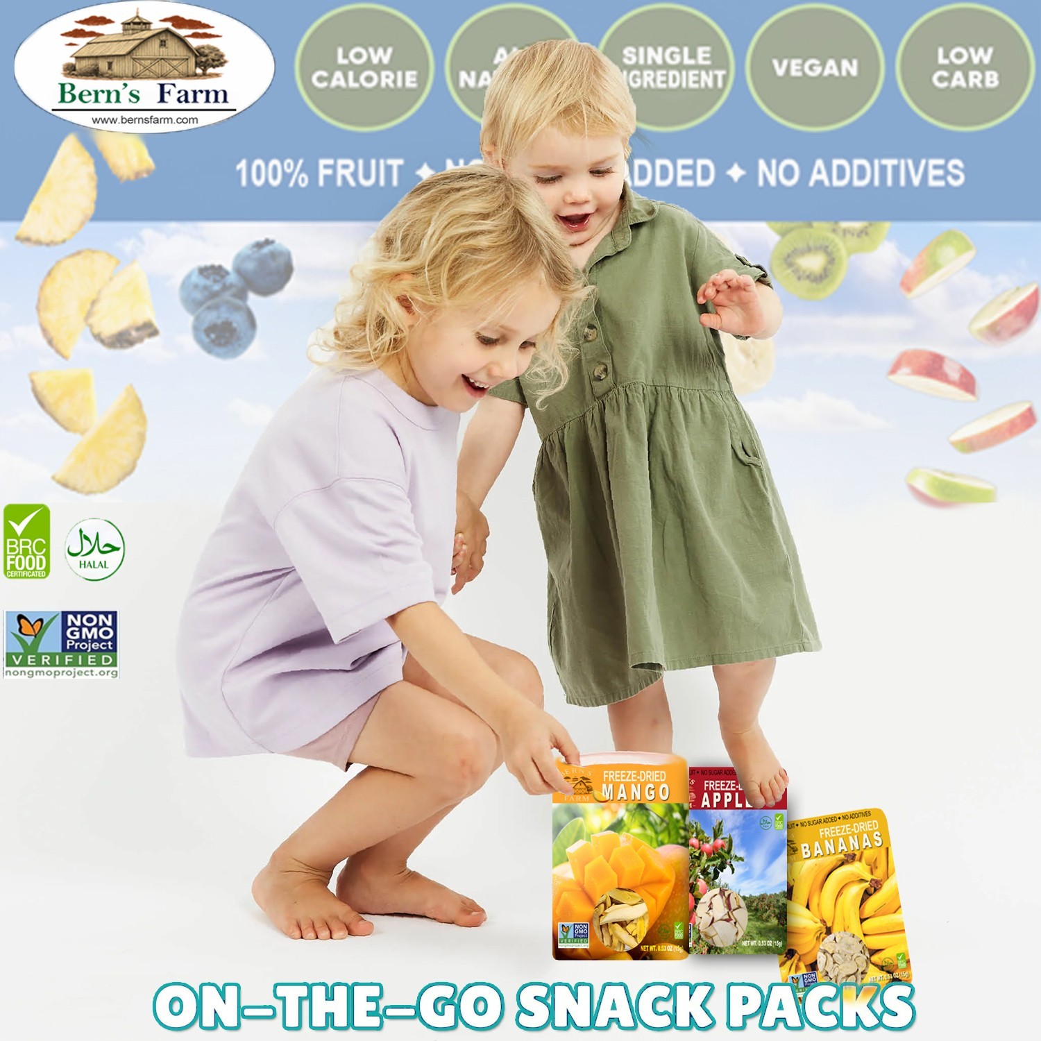 Freeze Dried Fruit Bites No Sugar Added, On-the-Go Snacks for Kids & Adults 1 OZ