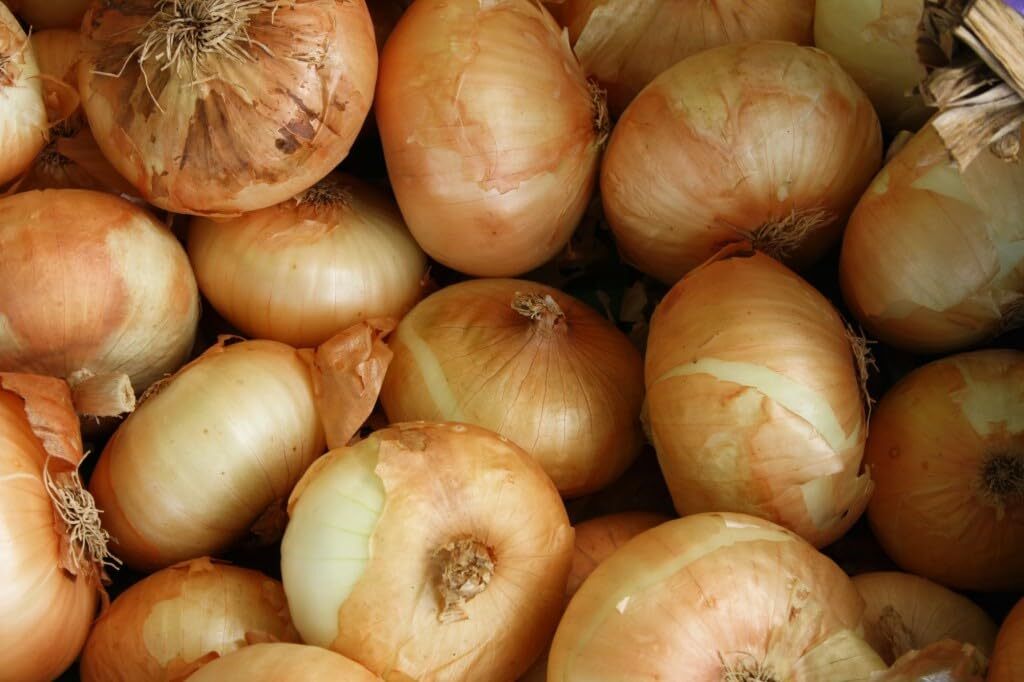 Fresh Sweet Vidalia Onions~USA GROWN*Pack of 1~2~5~10~15*Pound FREE SHIP NON-GMO