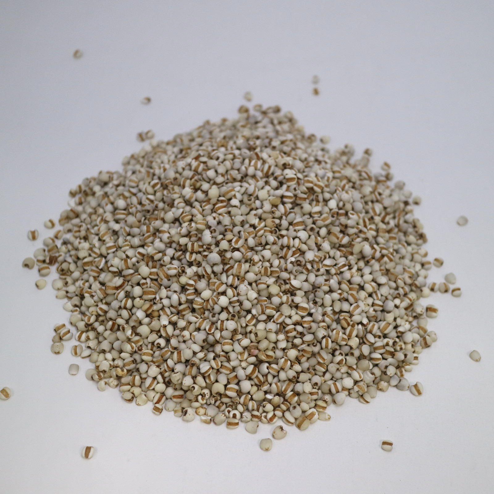 McCabe Organic Coix Seed (Job’s Tear), 2 lbs, USDA & CCOF Certified