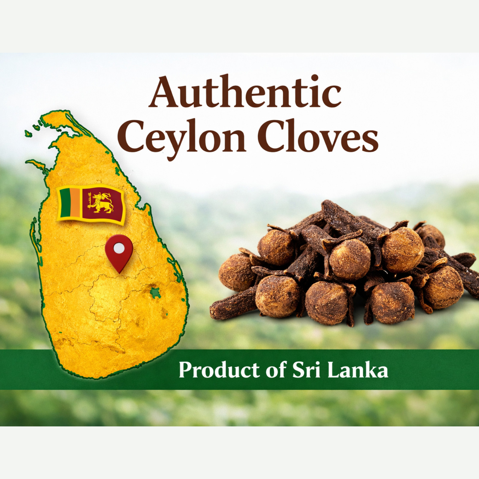 100+ Ceylon Whole Cloves,Clavos de Olor-Organic -Fresh Premium Aromatic Spice