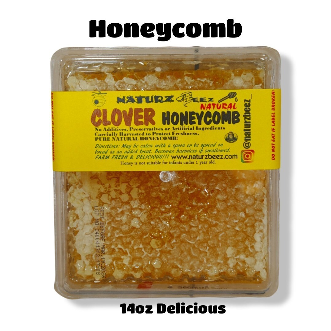 PREMIUM HONEY RAW GALLBERRY COMB 12oz 100% PURE UNFILTERED USA HONEYCOMB