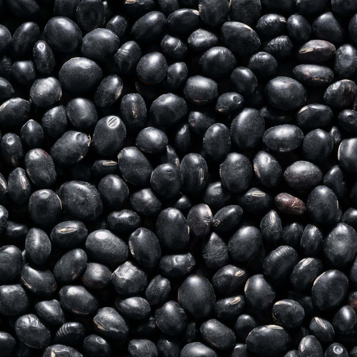 Dry Black Beans Black turtle beans – 1kg 2kg 5kg 10kg 15kg 20kg 30kg 50kg Bulk