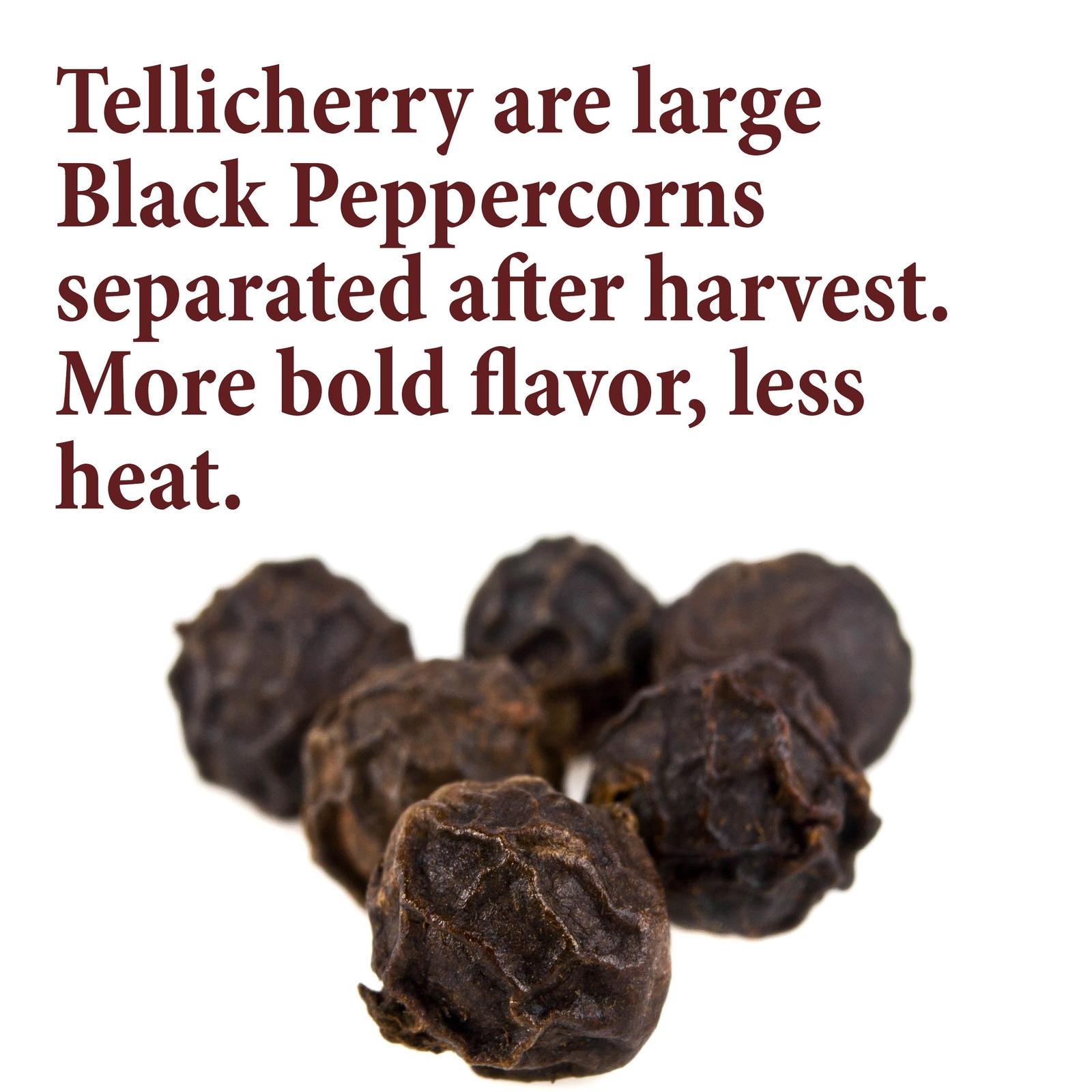 The Spice Way Tellicherry Black Peppercorns
