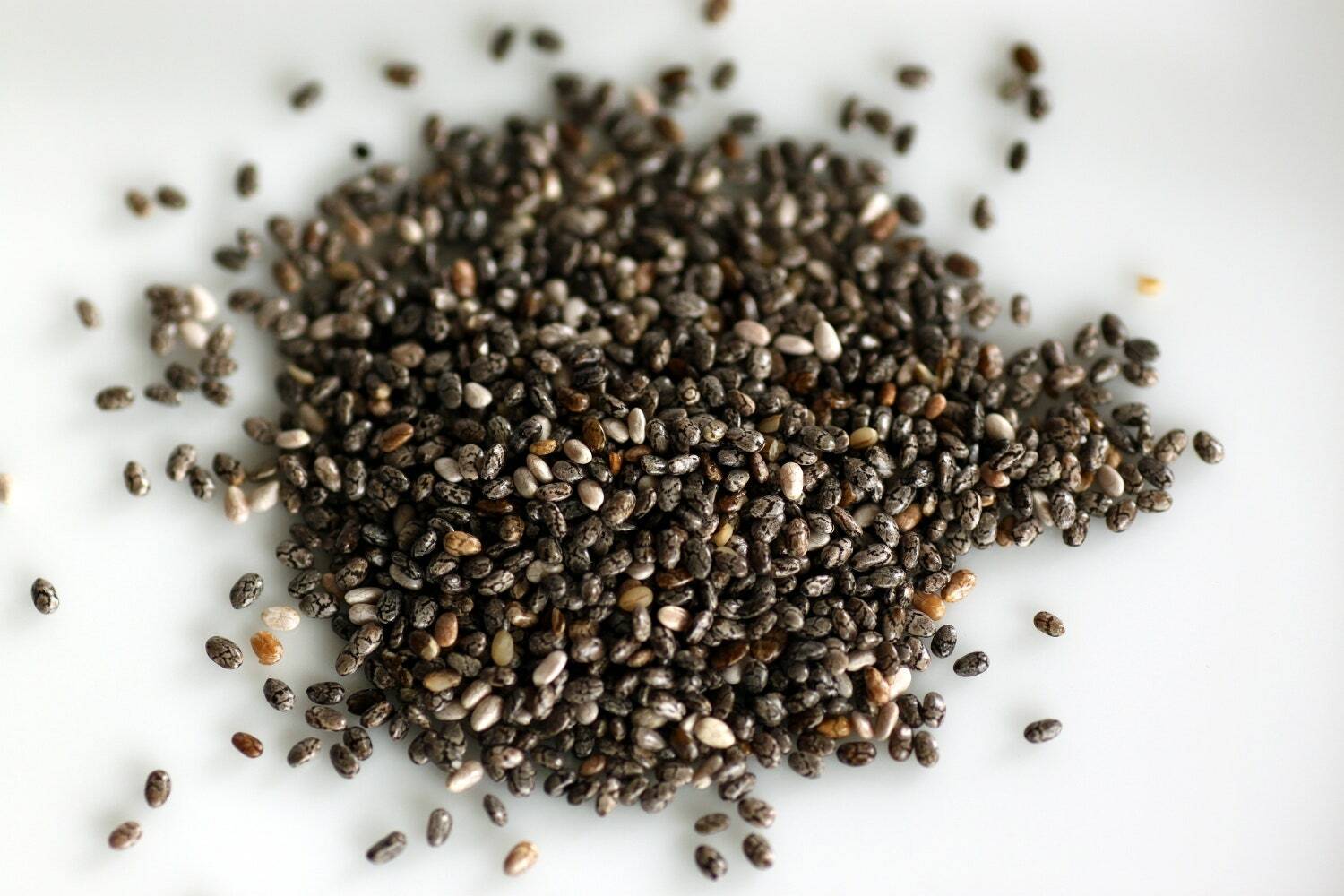 Bulk Black Chia Seeds 10 Pound Wholesale Box