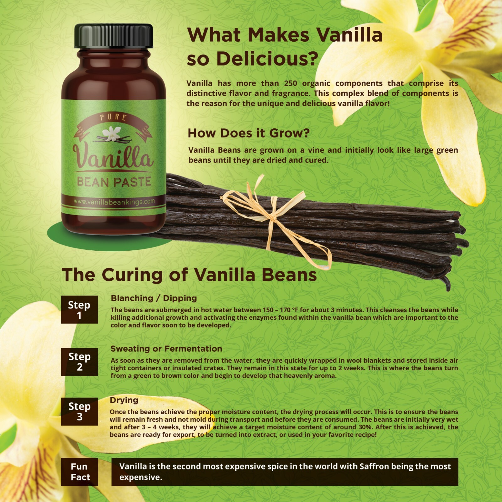 Organic Madagascar Vanilla Extract