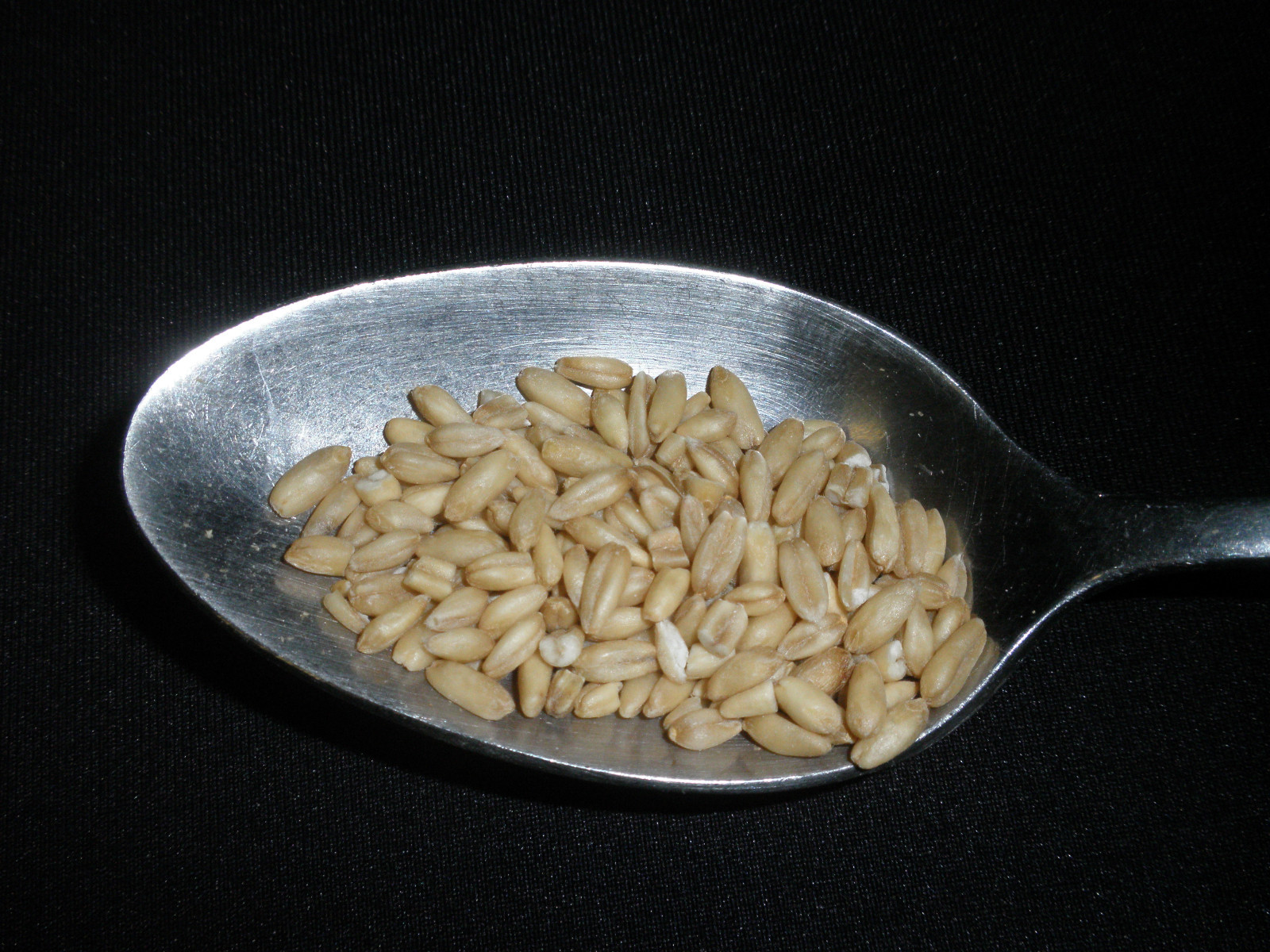 Oats, Whole (Groats), Organic, Non-GMO, Packed and shipped Bulk, FAST SHIP!