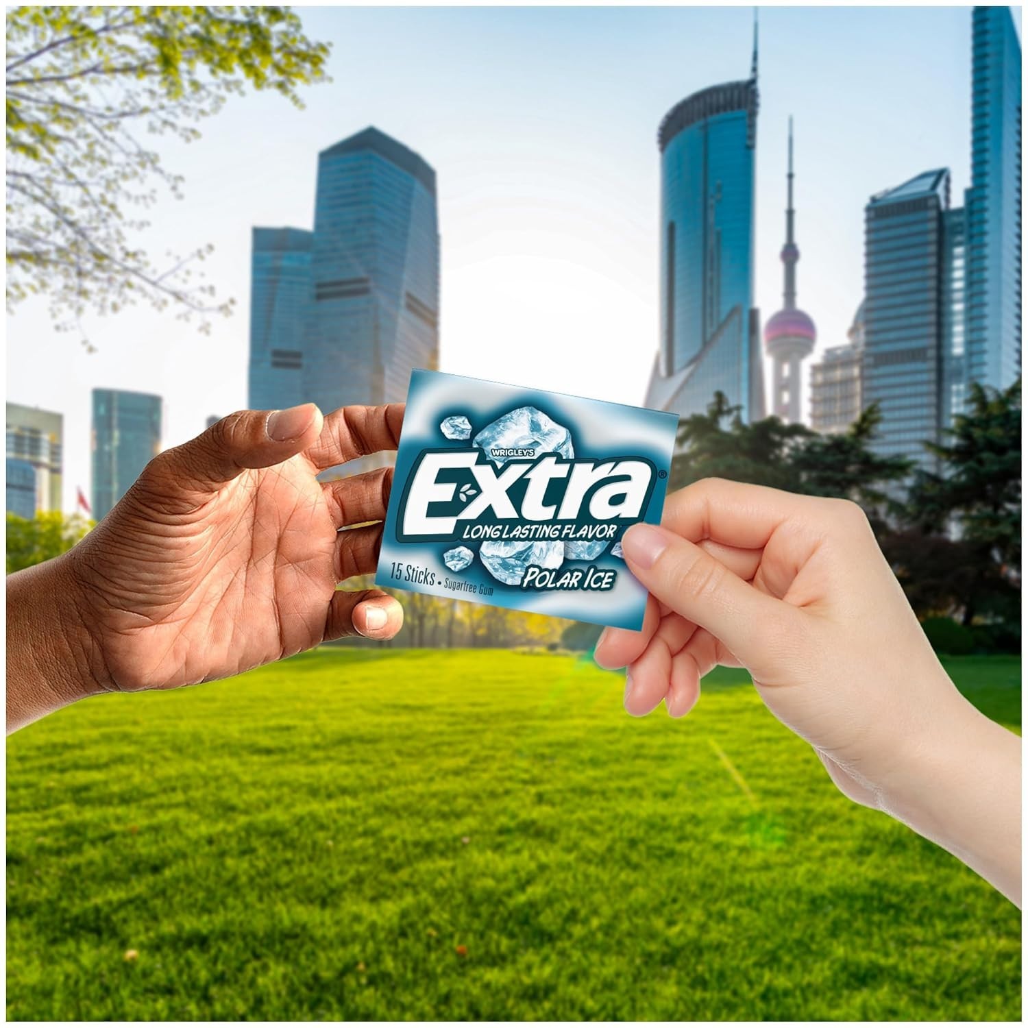 EXTRA Polar Ice Mint Gum, 48 Individual Wrappers