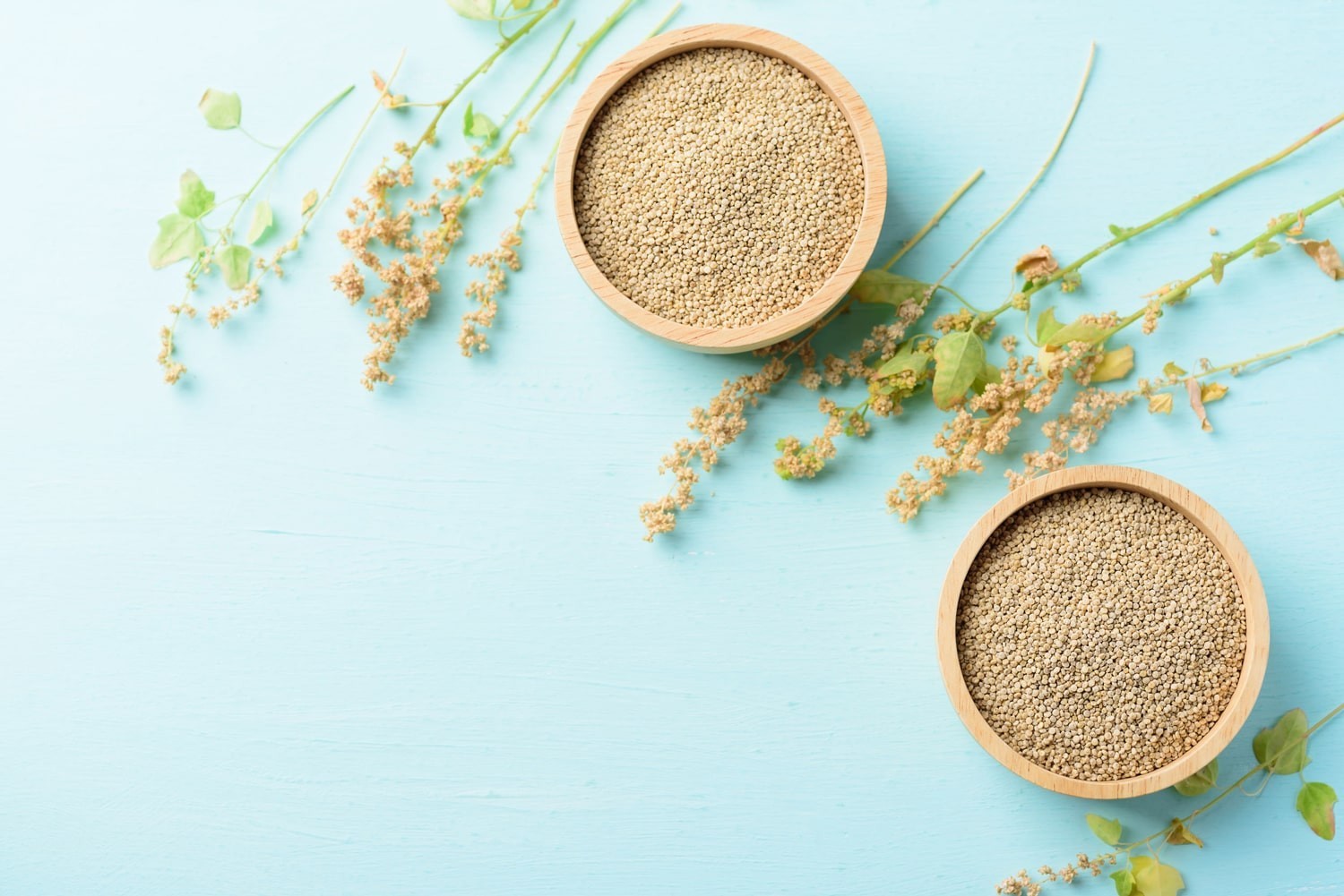 Organic White Quinoa Flour — Non-GMO, Kosher, Raw, Vegan — Food To Live