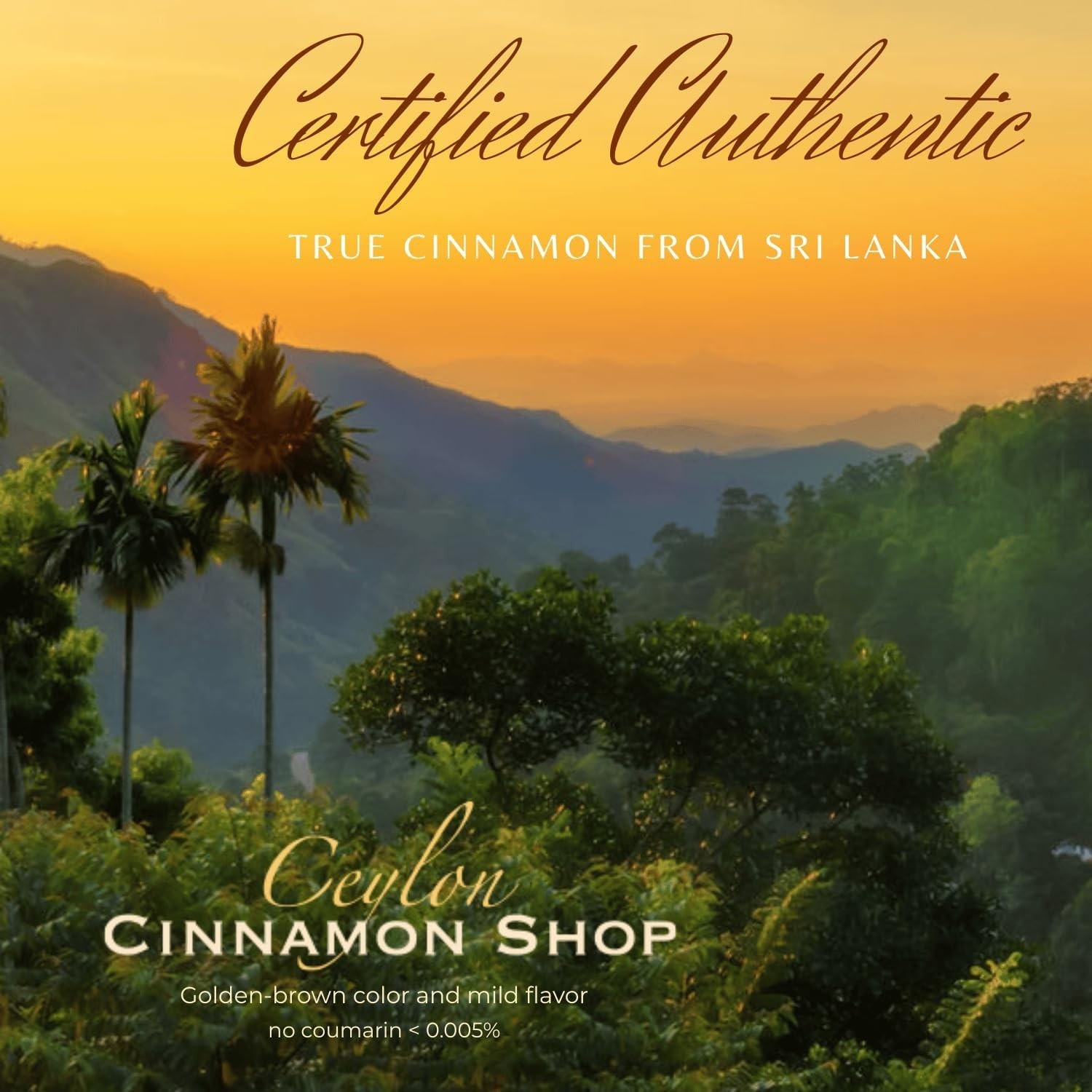 Fairtrade Certified Organic Ceylon Cinnamon Powder – 8 oz for Baking & Smoothies