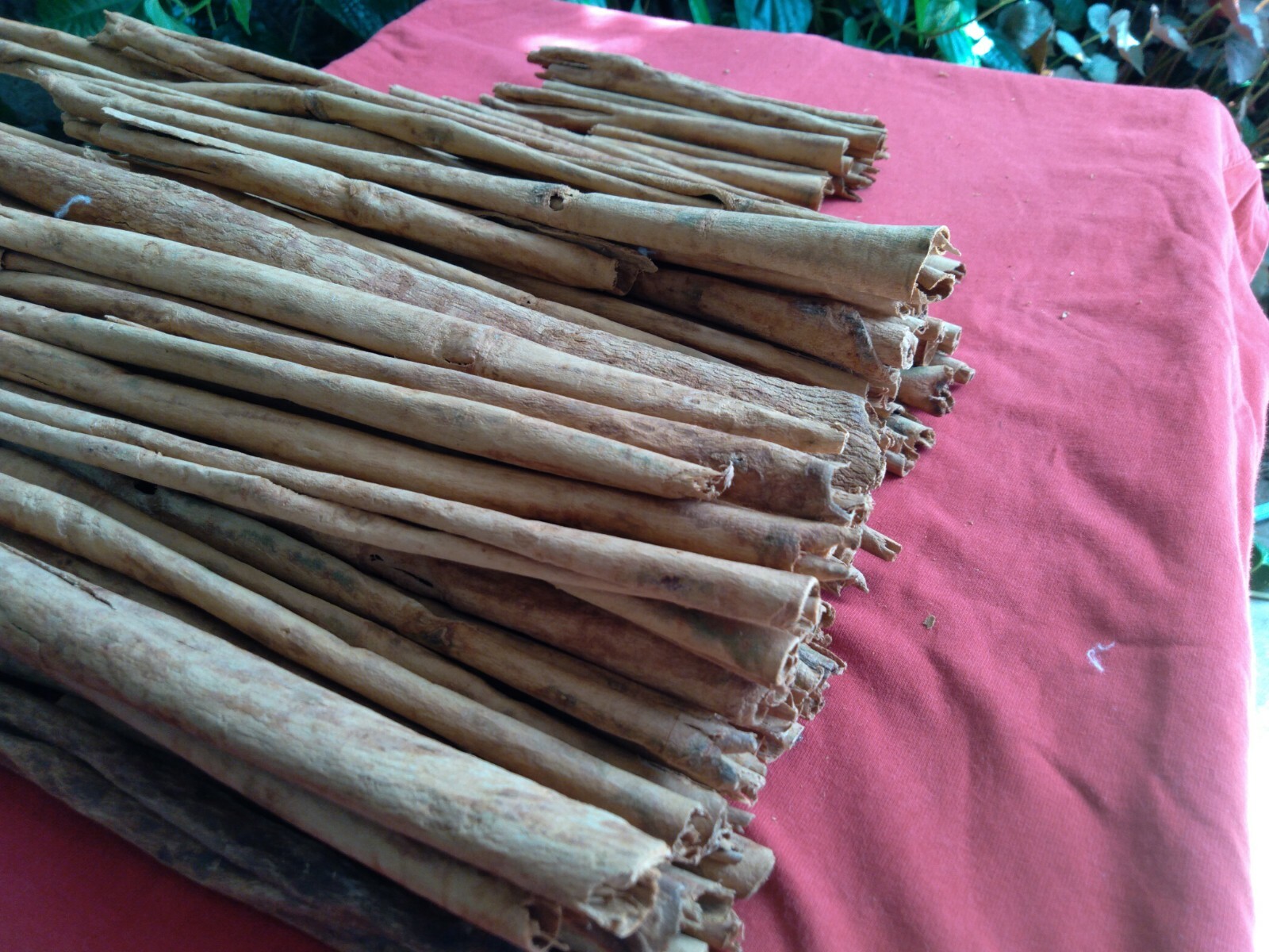 NATURAL PURE CEYLON HIGH QUALITY 100% CINNAMON STICKS & ORGANIC 100 g