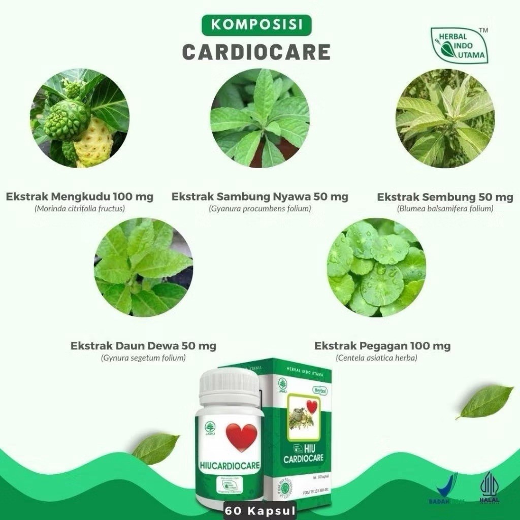Herbal Cardiocare for Heart Wellness Circulation Health Formula Capsules 60