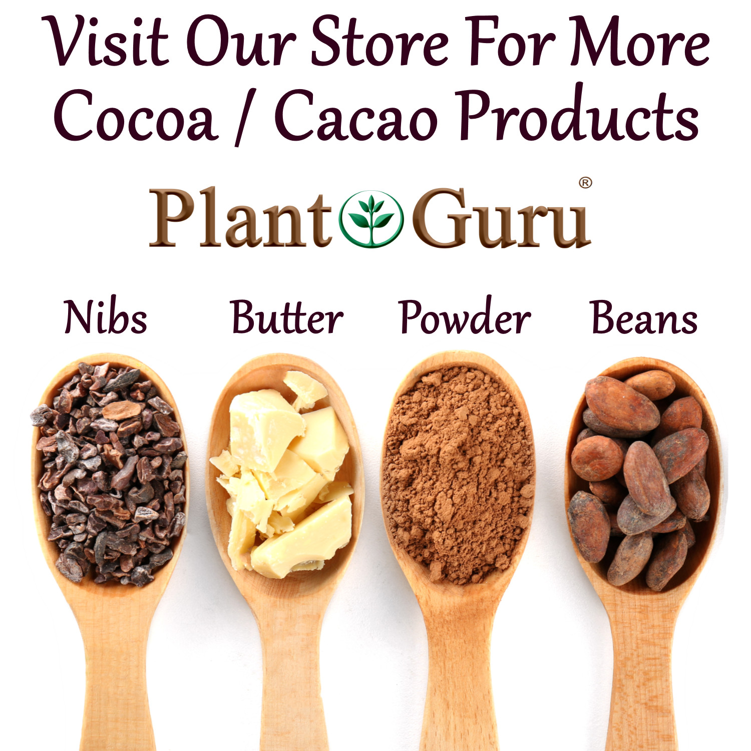Raw Cacao / Cocoa Beans Whole Chocolate Arriba Nacional Bean 1 oz to 15 Lb Bulk