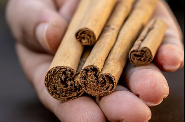 Ceylon Cinnamon Sticks True Cinnamon Sri Lanka Organic Fresh Premium Quills