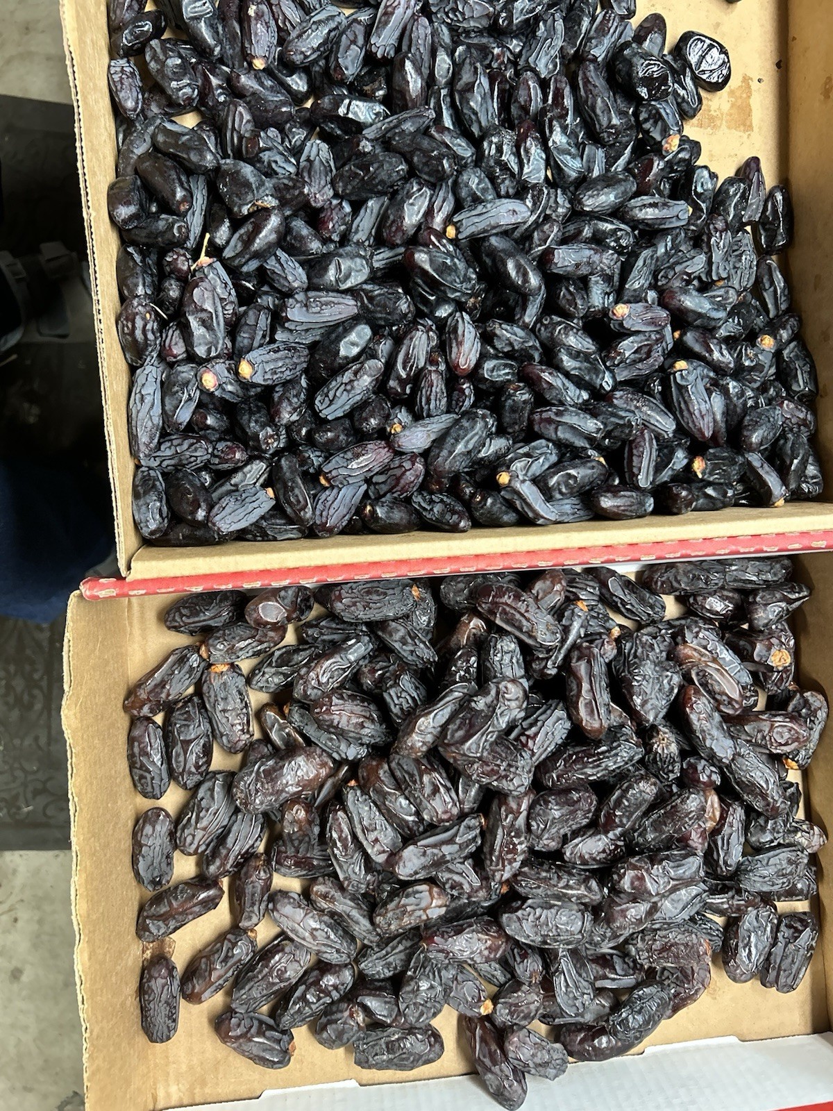 2023 Medjool Or BLACK DATE Safawi 11 Lbs Or Mix