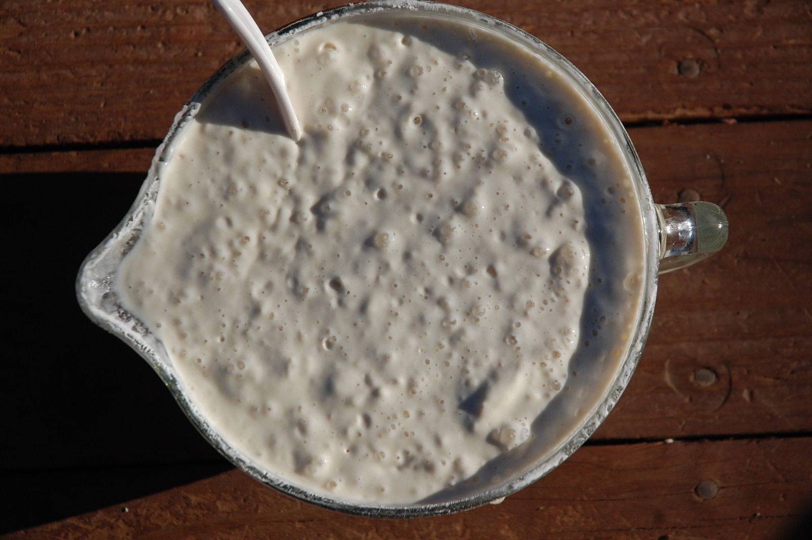 YEAST SOURDOUGH BREAD STARTER powder mix mixer or bread machine foothills larry@