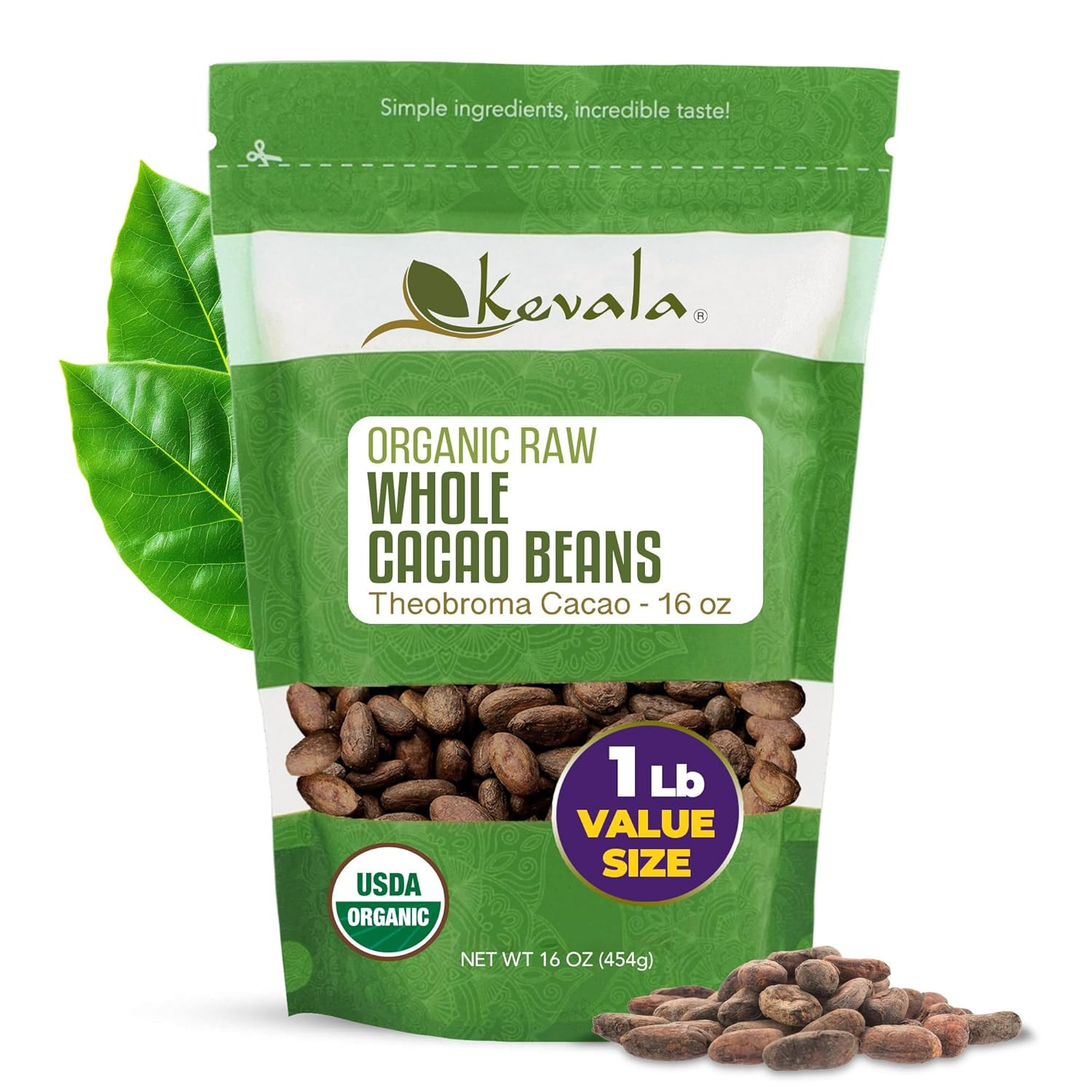 Organic Cacao Beans – 1 Lb, Sugar Free Base for Vegan Chocolate | 16 Oz, Sun Dri
