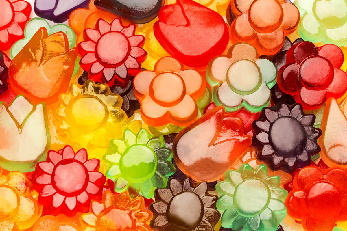 10 lbs Pounds Albanese Confectionery Gummi BEARS, BUTTERFLIES BLOSSOMS PUMPKINS