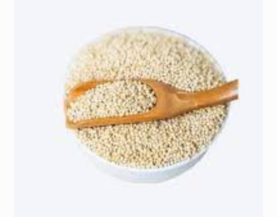Kangni Beej -Naj Kangani Beej – Kangni Seeds – Foxtail Millets – Kakum Beej –