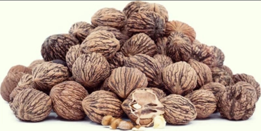 5 lbs Black Walnuts Organic Grown In Shell 2025 Crop USA Power Washed
