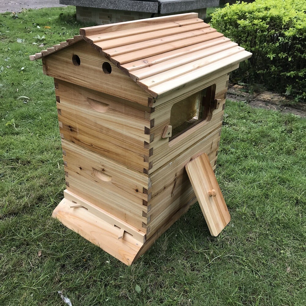 Certified Waxed Wooden AUTO Shed Beehive BeeHives 7 Plastic Beekeeping Frames