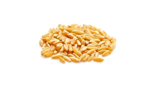 Yupik Organic Kamut Grains, 2.2 lb (35.2 oz), Non-GMO, Pound (Pack of 1)