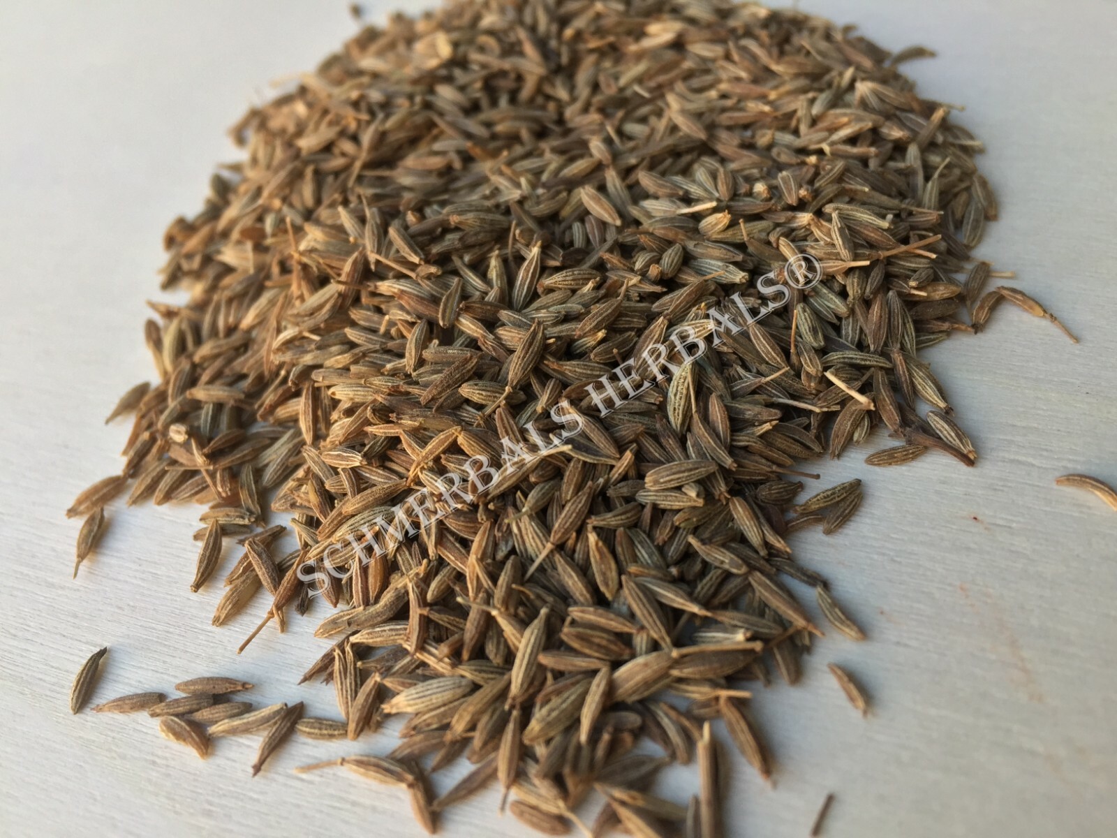 Cumin Seed, Cuminum cyminum, Whole ~ Schmerbals Herbals