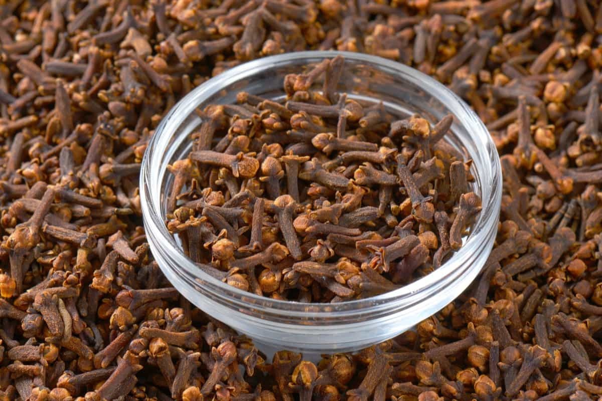 Cloves (Laung) – Premium Quality | 100% Natural | Aromatic Spice for Cooking