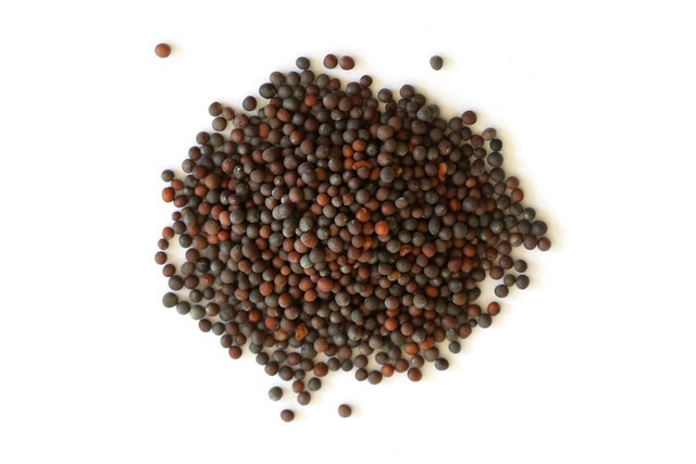 Brown Mustard Seeds, Mountain Rose Herbs. 1 oz