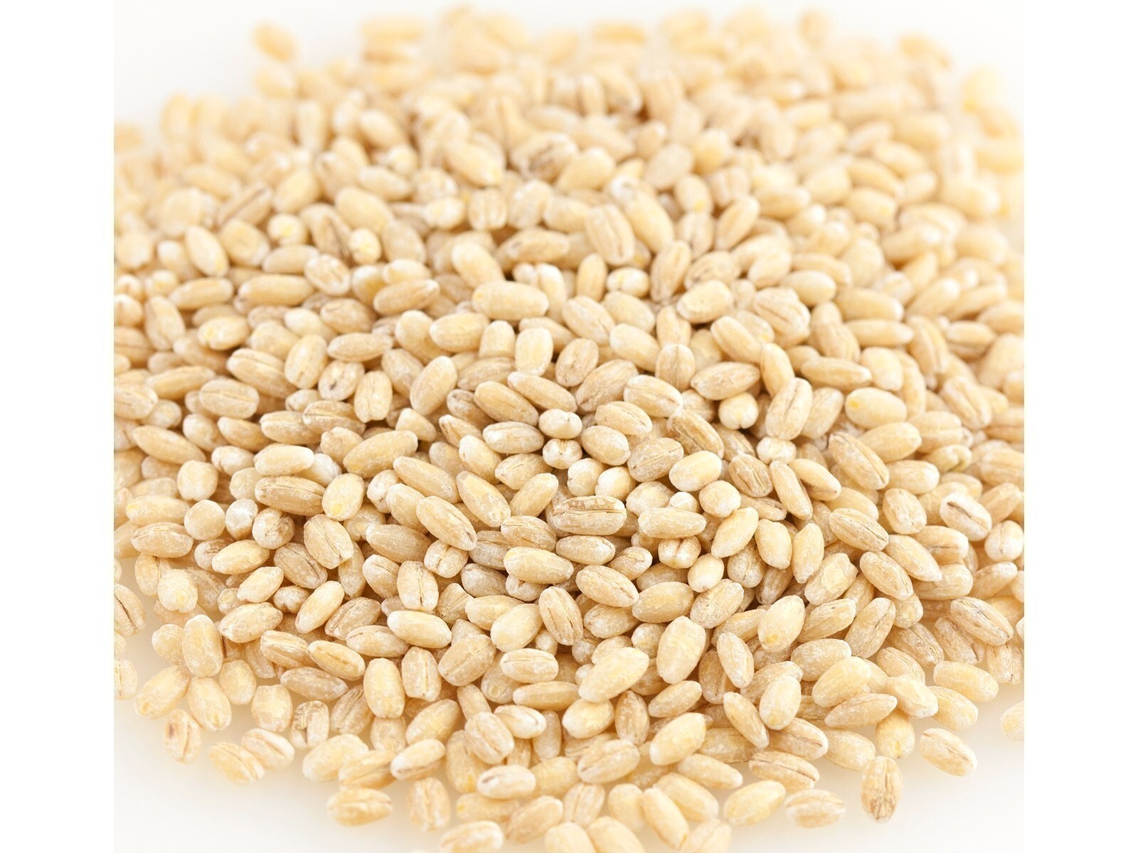 Organic Pearled Barley Bean Beans 10 Pounds Free Shipping