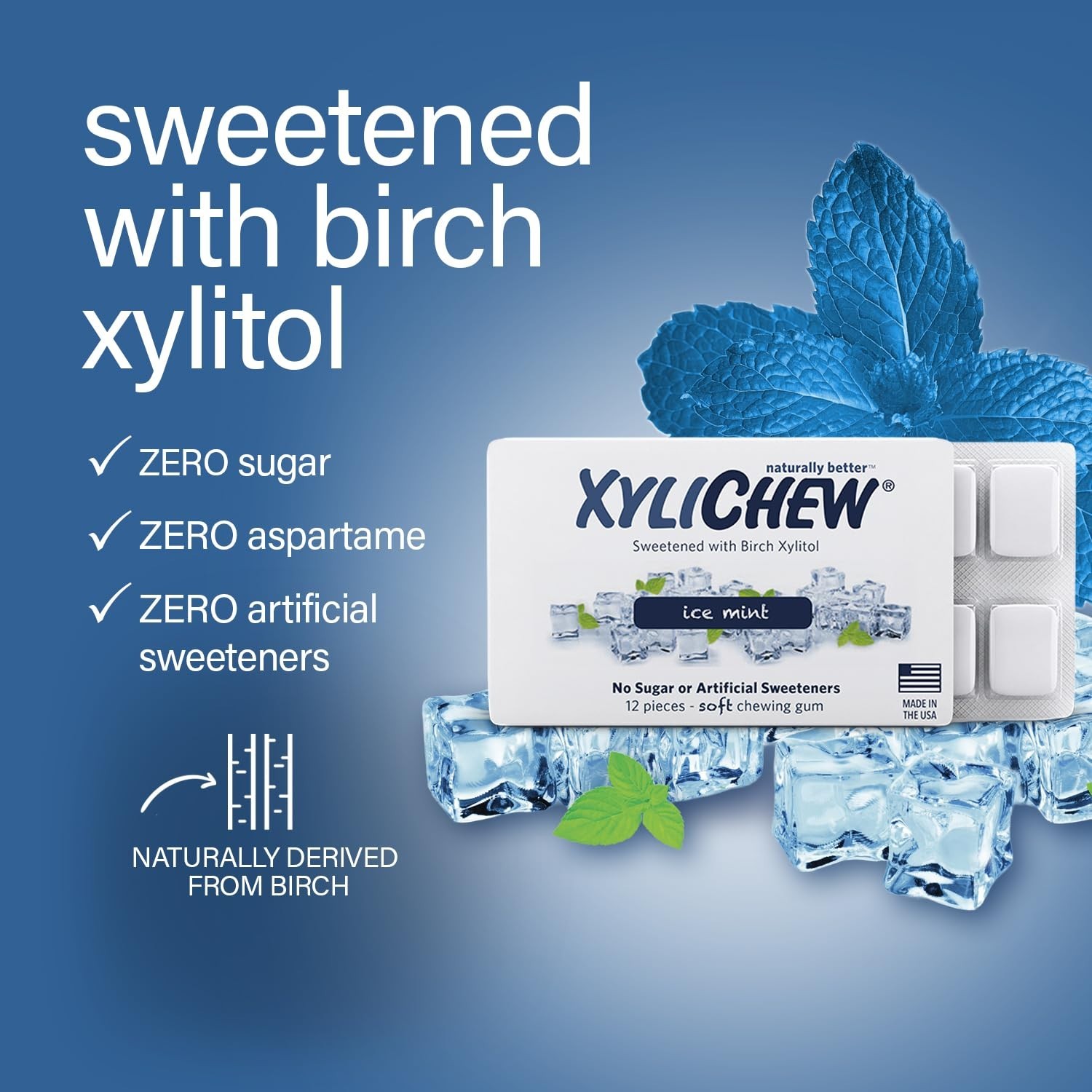 Xylichew 24 PACKS Xylitol Chewing Gum Ice Mint Sugar Free 288 PIECES 12 Per Pack