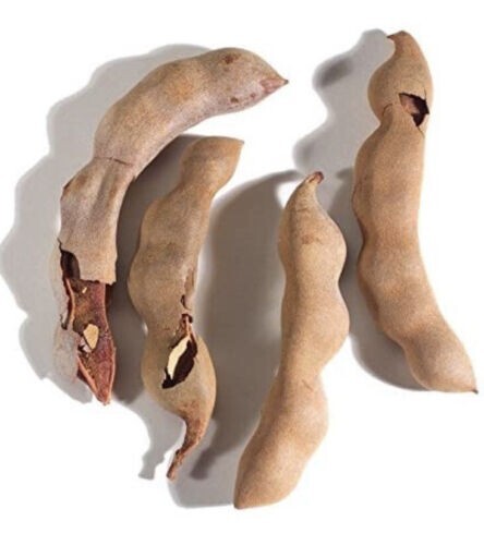Organic Unprocessed Tamarind Pods 2 Lb – Tamarindo – Tamarindo en cascara