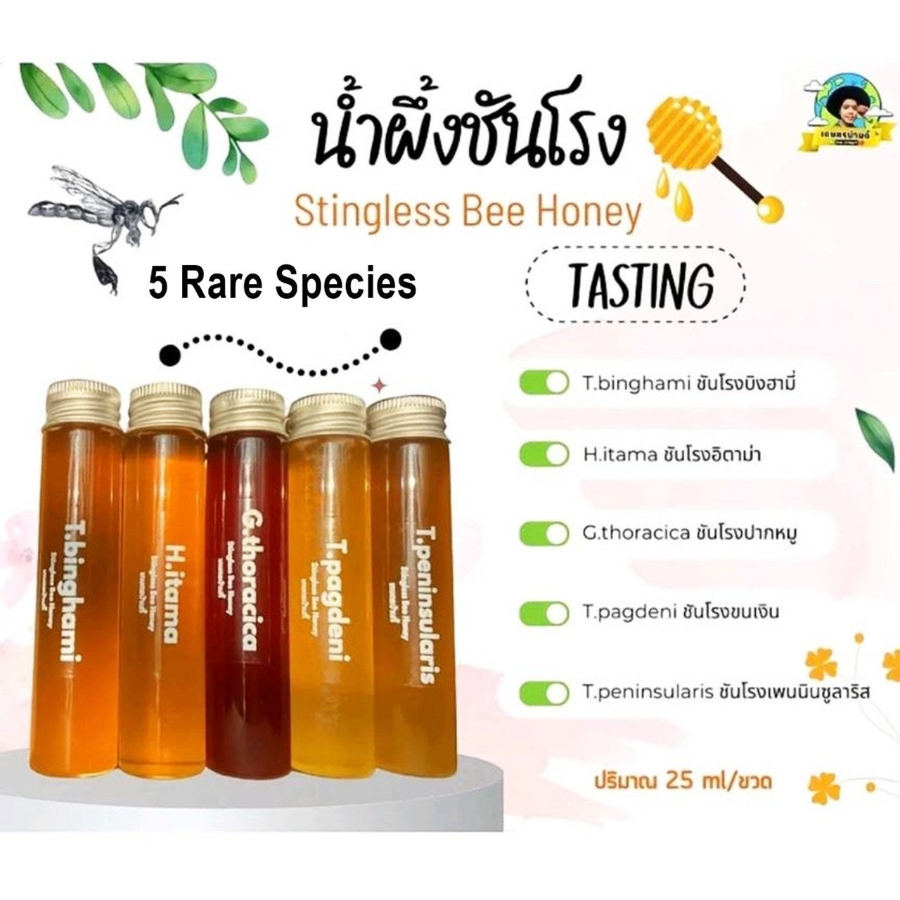 100% Pure Stingless Bee Honey Discovery Set – 5 Rare Species x 25ml – Nature’s H