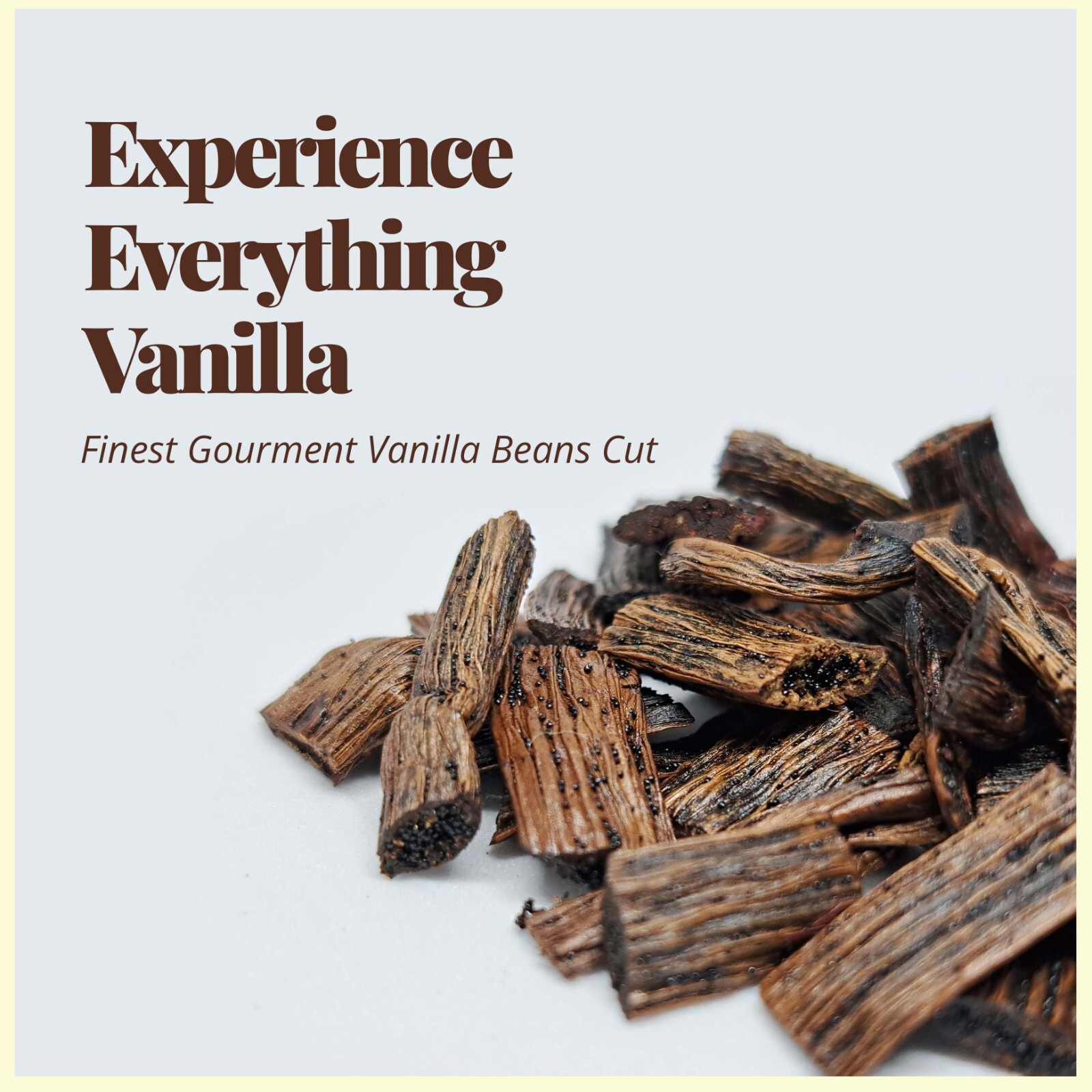 Vanilla Beans Cuts, Best Vanilla Beans For Making Vanilla Extract & Baking