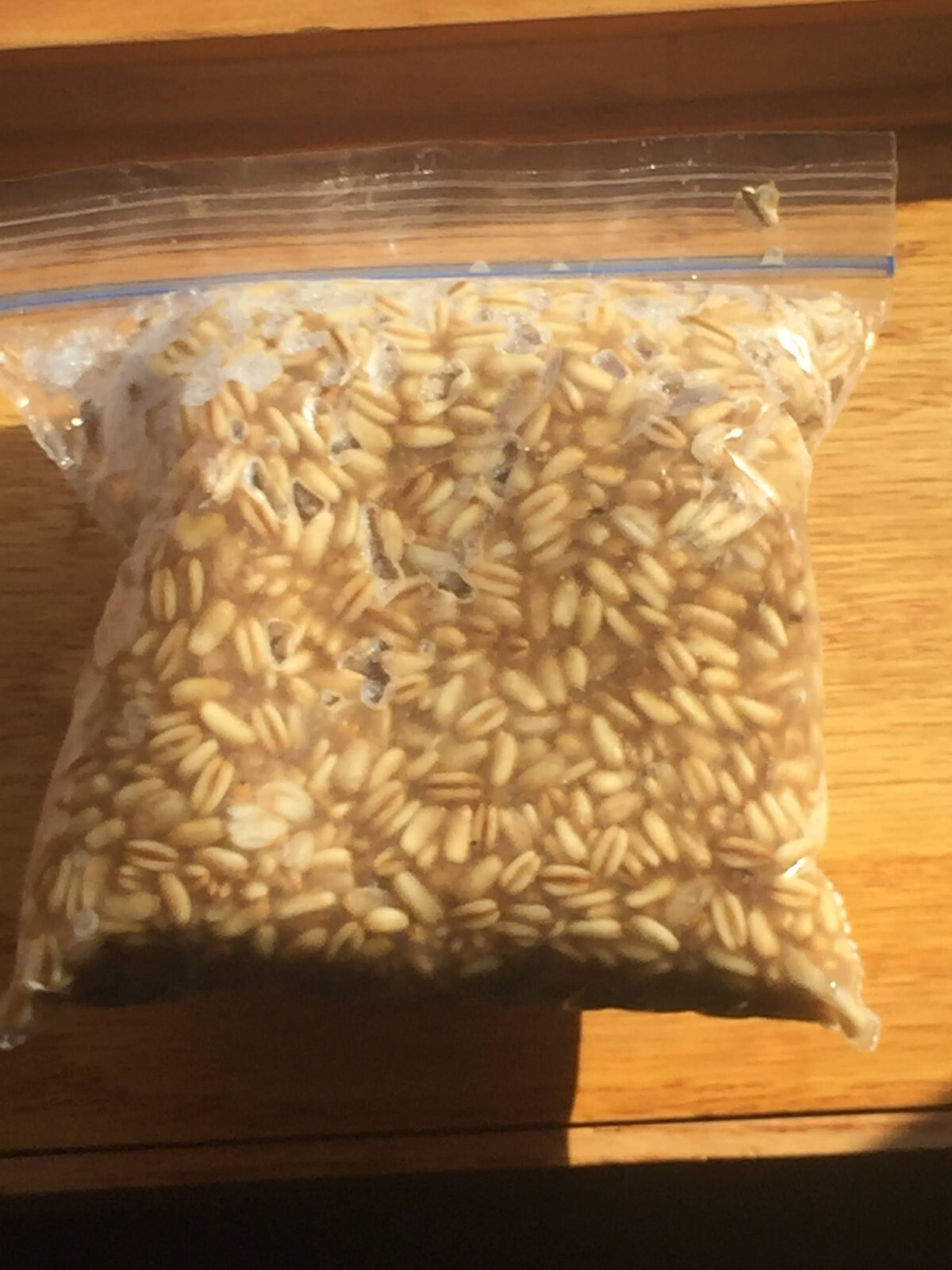 naturally hulless oats