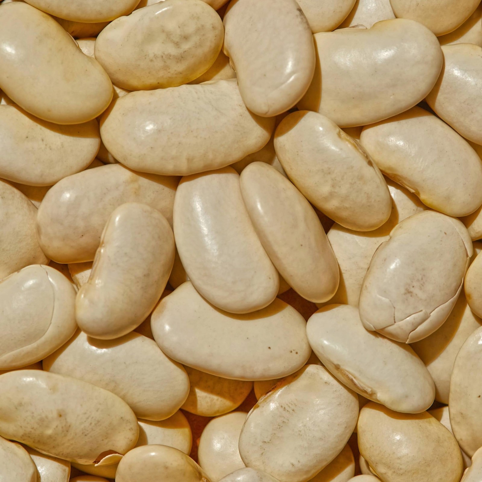 SIMPLi Regenerative Organic Certified Gigantes Beans, Dried White Beans, Butt…