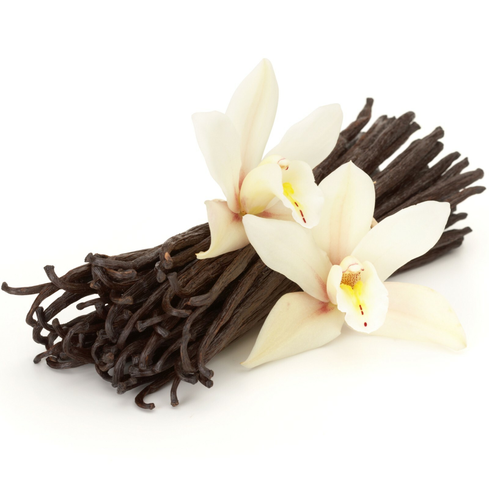 Organic Madagascar Vanilla Beans Whole Extract Grade B Pods for Vanilla Extract