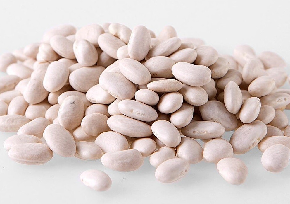 CANNELLINI BEANS / White Kidney Bean – 1kg 2kg 5kg 10kg 15kg 20kg 30kg 40kg Bulk