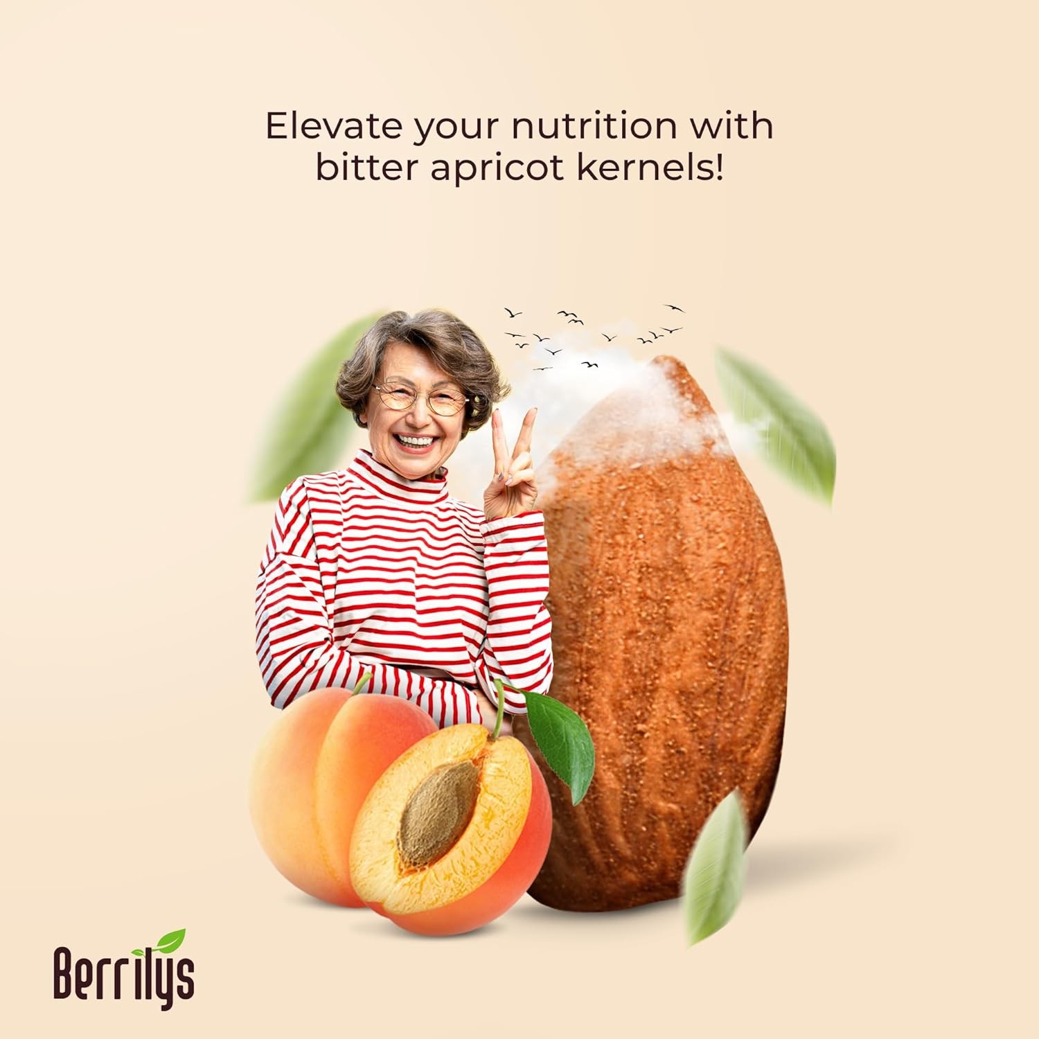 Organic Apricot Seeds Organic Bitter Apricot Kernels, Non-Gmo Vegan Apricot Seed
