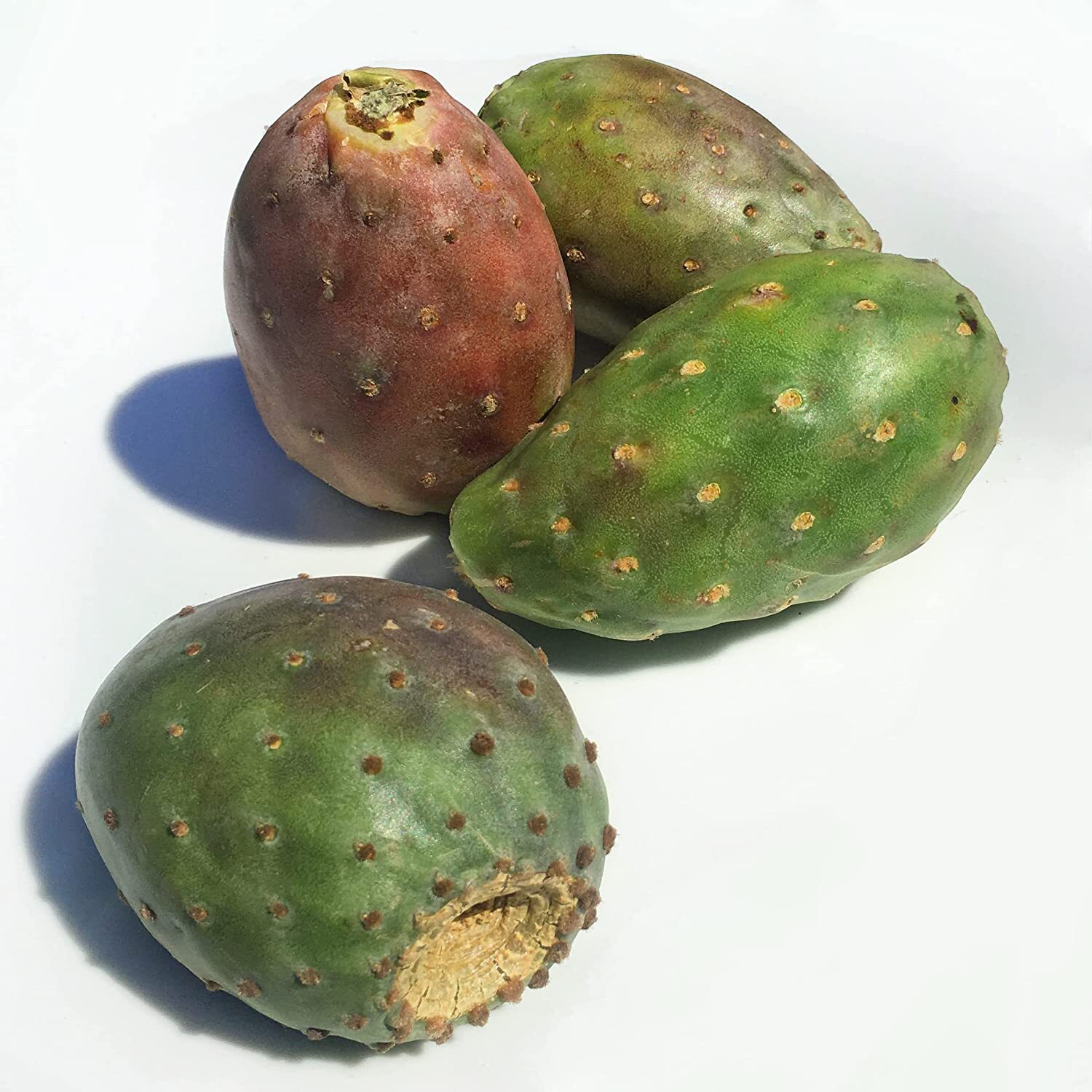 Fresh Prickly Cactus Pears Fruit 5 To 5 lbs Product Of Mexico