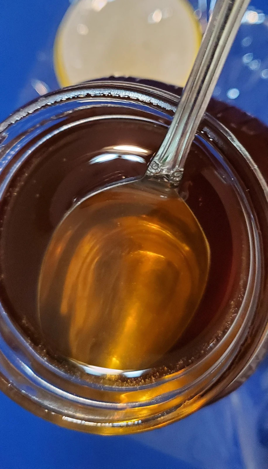 Sourwood Honey Pure Raw Natural Appalachian Mountains | The Dutch Kettle 16 Oz.