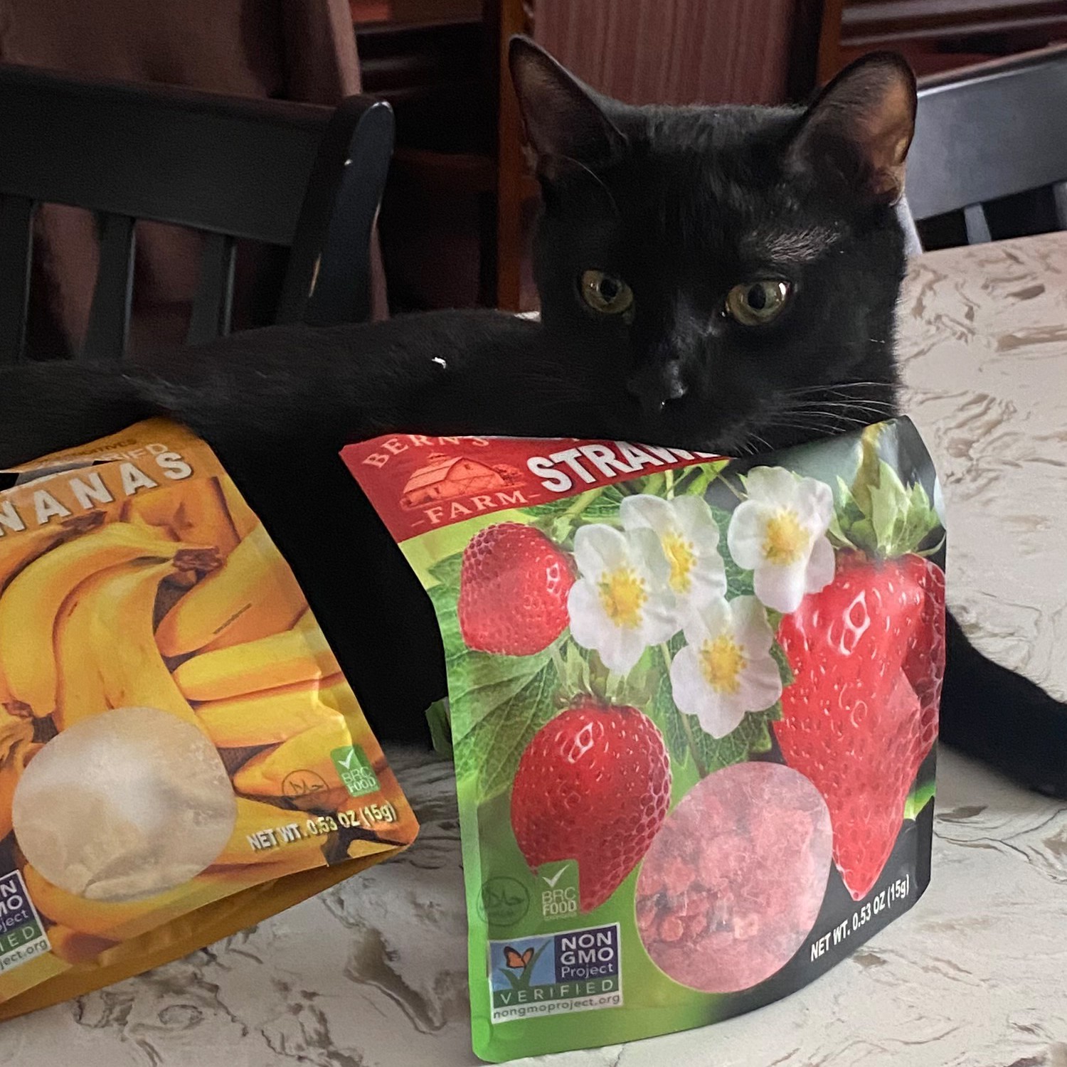 Freeze Dried Fruit Bites No Sugar Added, On-the-Go Snacks for Kids & Adults 1 OZ